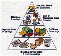 Food Guide Pyramid