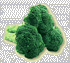 Broccoli, the super veggie